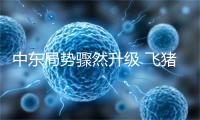 {longshao_title}